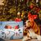 Show in main carousel: Himalayan Pet Supply Best Friend's Advent Calendar Dog Treats, 7-oz box slide 5 of 11
