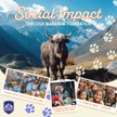 Show in main carousel: Himalayan Pet Supply Natural Cheese Dog Treats, Small slide 7 of 10