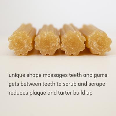 Show full view: Himalayan Pet Supply Pumpkin Churro Dental Dog Treats, 16-oz tub slide 5 of 8