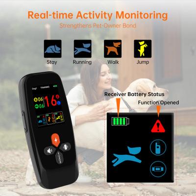 Show full view: Hoistspark 4 in 1 Waterproof Dog Training Collar, Medium, Black slide 4 of 10