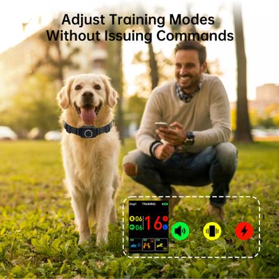 Show full view: Hoistspark 4 in 1 Waterproof Dog Training Collar, Medium, Black slide 3 of 10