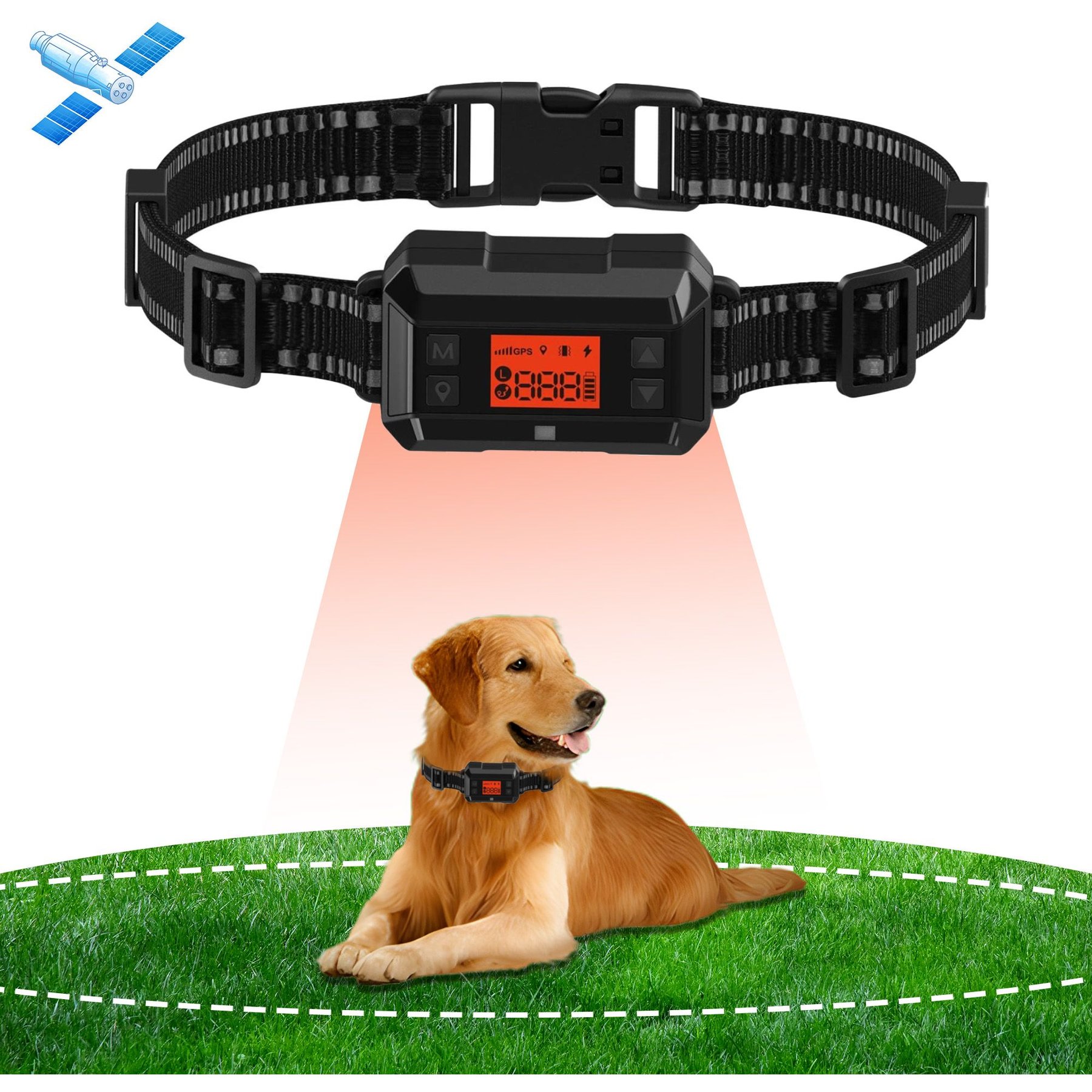 Wireless Dog Dog Boundary Training Collars Hands Free Dog Leash