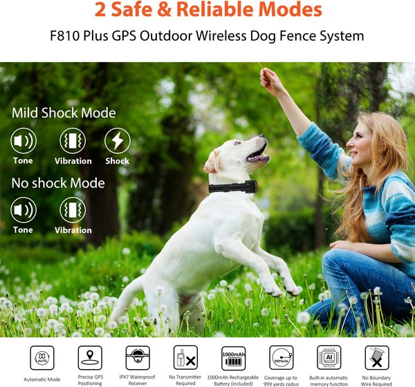 Hoistspark GPS Wireless Fence System Dog Tracker, Black, Medium