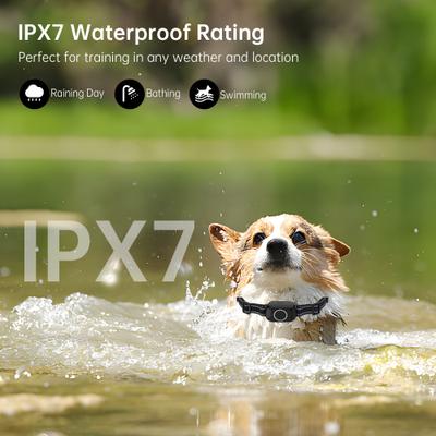 Show full view: Hoistspark T800 Waterproof Dog Training Collar, Medium, Black slide 8 of 11