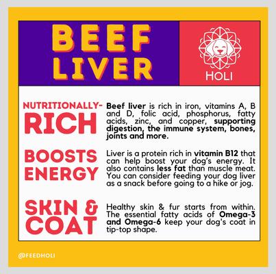 Show full view: HOLI Beef Liver Grain-Free Freeze-Dried Dog Treats, 4-oz bag slide 7 of 9
