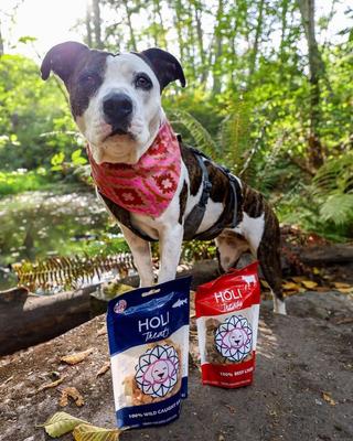 Show full view: HOLI Beef Liver Grain-Free Freeze-Dried Dog Treats, 4-oz bag slide 8 of 9