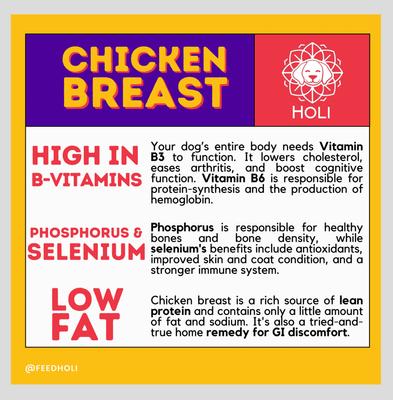 Show full view: HOLI Chicken Breast Grain-Free Freeze-Dried Dog Treats, 1.75-oz bag slide 7 of 8