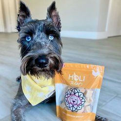 HOLI Chicken Breast Grain-Free Freeze-Dried Dog Treats, 3.5-oz bag slide 2 of 9