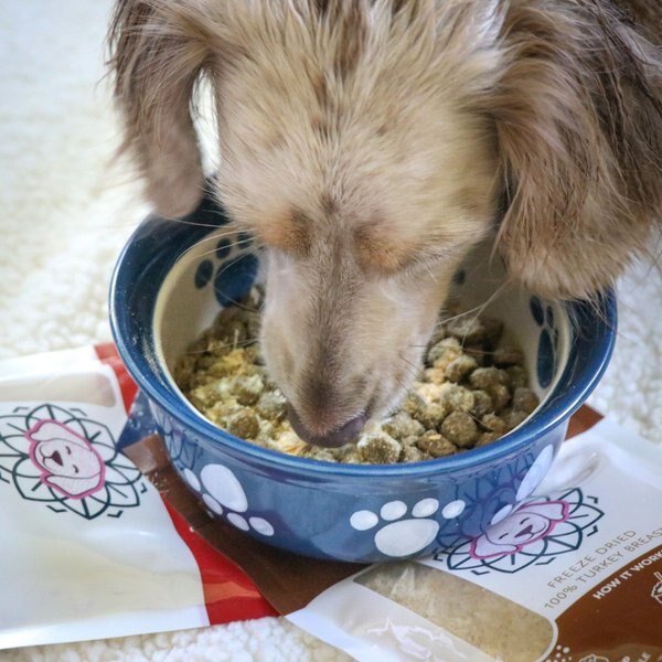 Muenster Elk & Venison Patties Complete & Balanced Grain-Free Freeze-Dried Dog Treats, 14-oz bag