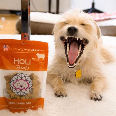 Show full view: HOLI Lamb Liver Grain-Free Freeze-Dried Dog Treats, 2-oz bag slide 8 of 8