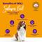 Show in main carousel: HOLI Pure Icelandic Salmon Oil Skin & Coat Health Dog Supplement, 16-fl oz bottle slide 5 of 7