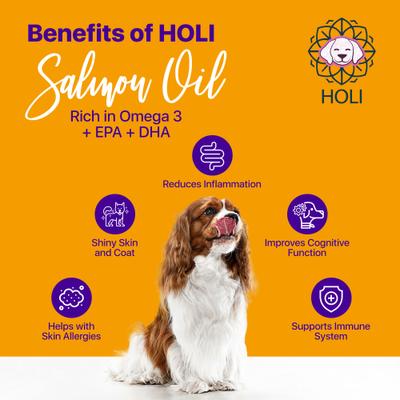 Show full view: HOLI Pure Icelandic Salmon Oil Skin & Coat Health Dog Supplement, 16-fl oz bottle slide 5 of 7