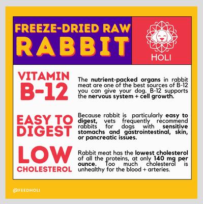 Show full view: HOLI Rabbit Grain-Free Freeze-Dried Dog Treats, 1.75-oz bag slide 4 of 8