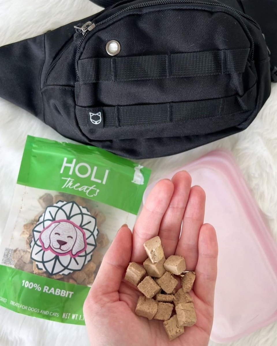 HOLI Rabbit Grain-Free Freeze-Dried Dog Treats, 3.5-oz bag - Chewy.com