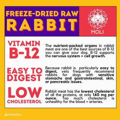 Show full view: HOLI Rabbit Protein Pack Grain-Free Freeze-Dried Dog Food Topper, 8-oz bag slide 3 of 9