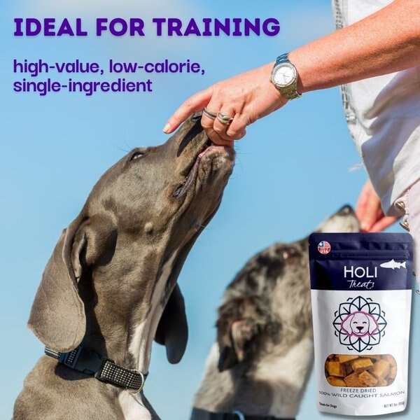 HOLI Wild Caught Salmon Skin Grain-Free Dog Dental Chew Treats