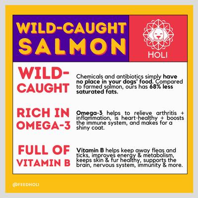 Show full view: HOLI Wild Caught Salmon Grain-Free Freeze-Dried Dog Treats, 1.5-oz bag slide 7 of 9