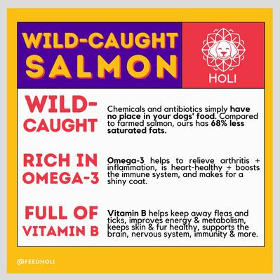 Show full view: HOLI Wild Caught Salmon Grain-Free Freeze-Dried Dog Treats, 3-oz bag slide 7 of 9