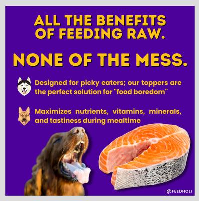 Show full view: HOLI Wild Caught Salmon Protein Pack Grain-Free Freeze-Dried Dog Food Topper, 1.75-oz bag slide 5 of 9