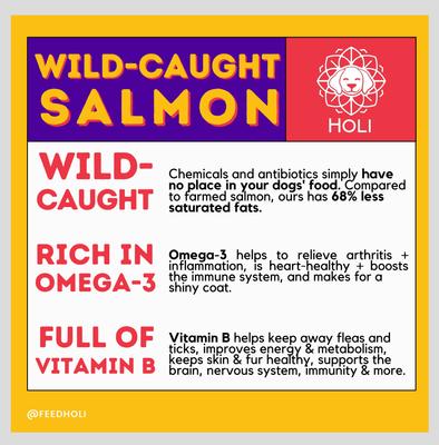 Show full view: HOLI Wild Caught Salmon Protein Pack Grain-Free Freeze-Dried Dog Food Topper, 1.75-oz bag slide 7 of 9