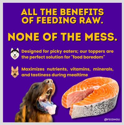 Show full view: HOLI Wild Caught Salmon Protein Pack Grain-Free Freeze-Dried Dog Food Topper, 3-oz bag slide 5 of 9