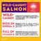 Show in main carousel: HOLI Wild Caught Salmon Protein Pack Grain-Free Freeze-Dried Dog Food Topper, 6-oz bag slide 3 of 9