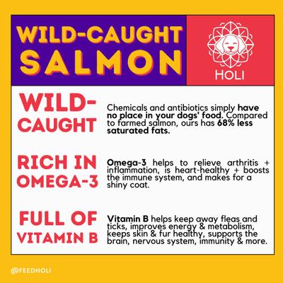 Show full view: HOLI Wild Caught Salmon Protein Pack Grain-Free Freeze-Dried Dog Food Topper, 6-oz bag slide 3 of 9