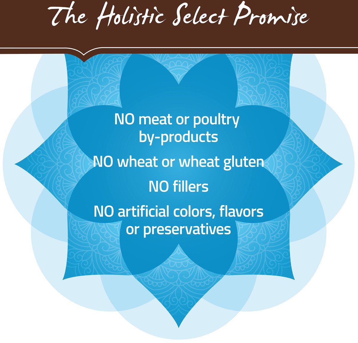 holistic select salmon anchovy