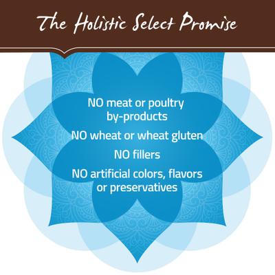 Show full view: Holistic Select Adult Health Anchovy, Sardine & Salmon Meals Recipe Dry Dog Food, 30-lb bag slide 8 of 13