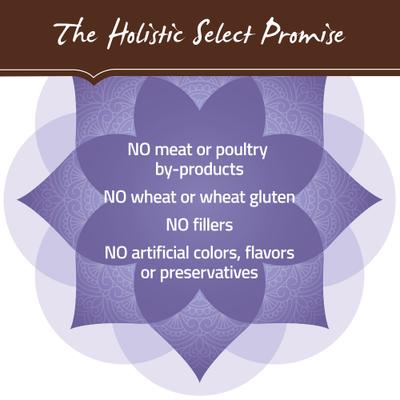 Show full view: Holistic Select Adult Health Chicken Meal & Brown Rice Recipe Dry Dog Food, 30-lb bag slide 8 of 13