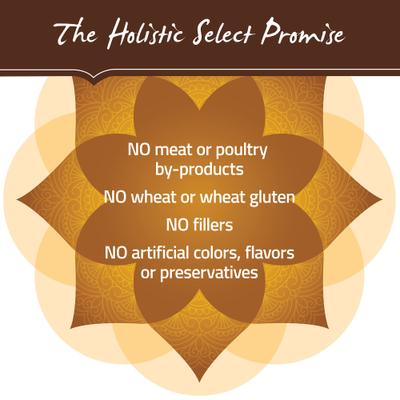 Show full view: Holistic Select Adult Health Duck Meal Recipe Grain-Free Dry Dog Food, 24-lb bag slide 8 of 13