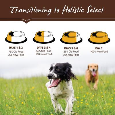 Show full view: Holistic Select Adult Health Duck Meal Recipe Grain-Free Dry Dog Food, 24-lb bag slide 10 of 13