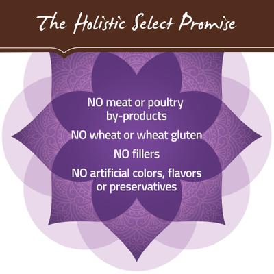 Show full view: Holistic Select Adult Health Grain-Free Deboned Turkey & Lentils Recipe Dry Dog Food, 24-lb bag slide 8 of 13