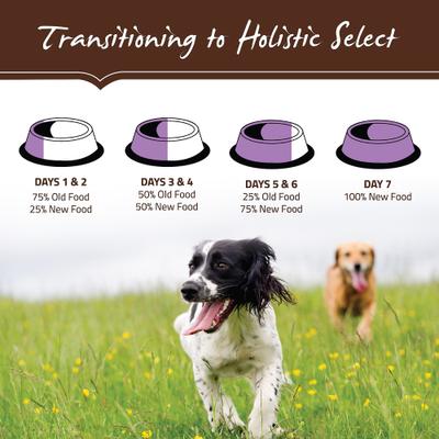 Show full view: Holistic Select Adult Health Grain-Free Deboned Turkey & Lentils Recipe Dry Dog Food, 24-lb bag slide 10 of 13
