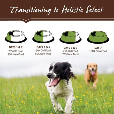 Show full view: Holistic Select Adult Health Lamb Meal Recipe Dry Dog Food, 30-lb bag slide 10 of 13