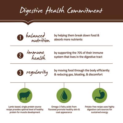 Show full view: Holistic Select Adult Health Lamb Meal Recipe Dry Dog Food, 30-lb bag slide 4 of 13