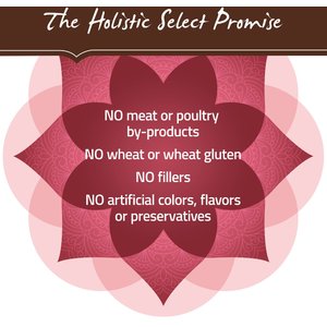 Holistic Select Adult & Puppy Grain-Free Salmon, Anchovy & Sardine Meal Recipe Dry Dog Food, 24-lb bag