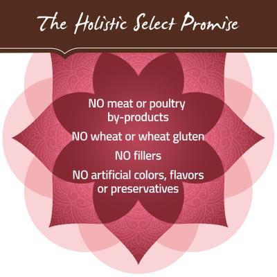 Show full view: Holistic Select Adult & Puppy Grain-Free Salmon, Anchovy & Sardine Meal Recipe Dry Dog Food, 24-lb bag slide 8 of 13