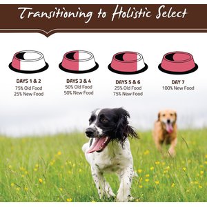 Holistic Select Adult & Puppy Grain-Free Salmon, Anchovy & Sardine Meal Recipe Dry Dog Food, 24-lb bag