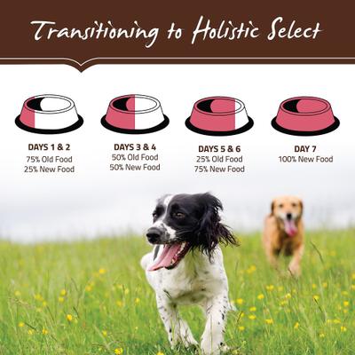 Show full view: Holistic Select Adult & Puppy Grain-Free Salmon, Anchovy & Sardine Meal Recipe Dry Dog Food, 24-lb bag slide 10 of 13