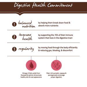 Holistic Select Adult & Puppy Grain-Free Salmon, Anchovy & Sardine Meal Recipe Dry Dog Food, 24-lb bag