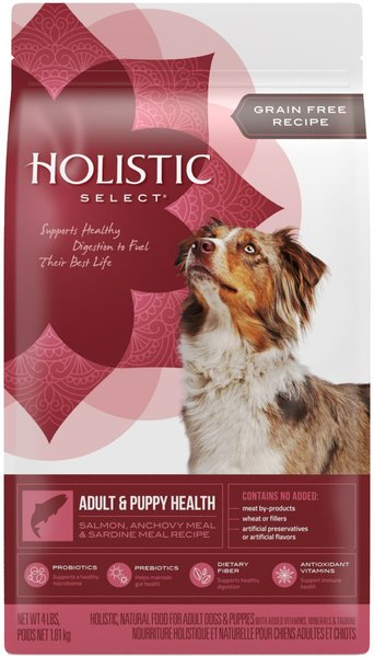 Grain Free Holistic Select Canned Dog Food Holistic Select Giant