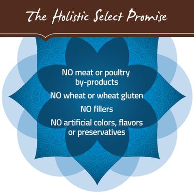 Show full view: Holistic Select Large & Giant Breed Adult Health Chicken Meal & Oatmeal Recipe Dry Dog Food, 30-lb bag slide 8 of 13