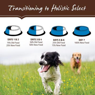 Show full view: Holistic Select Large & Giant Breed Adult Health Chicken Meal & Oatmeal Recipe Dry Dog Food, 30-lb bag slide 10 of 13