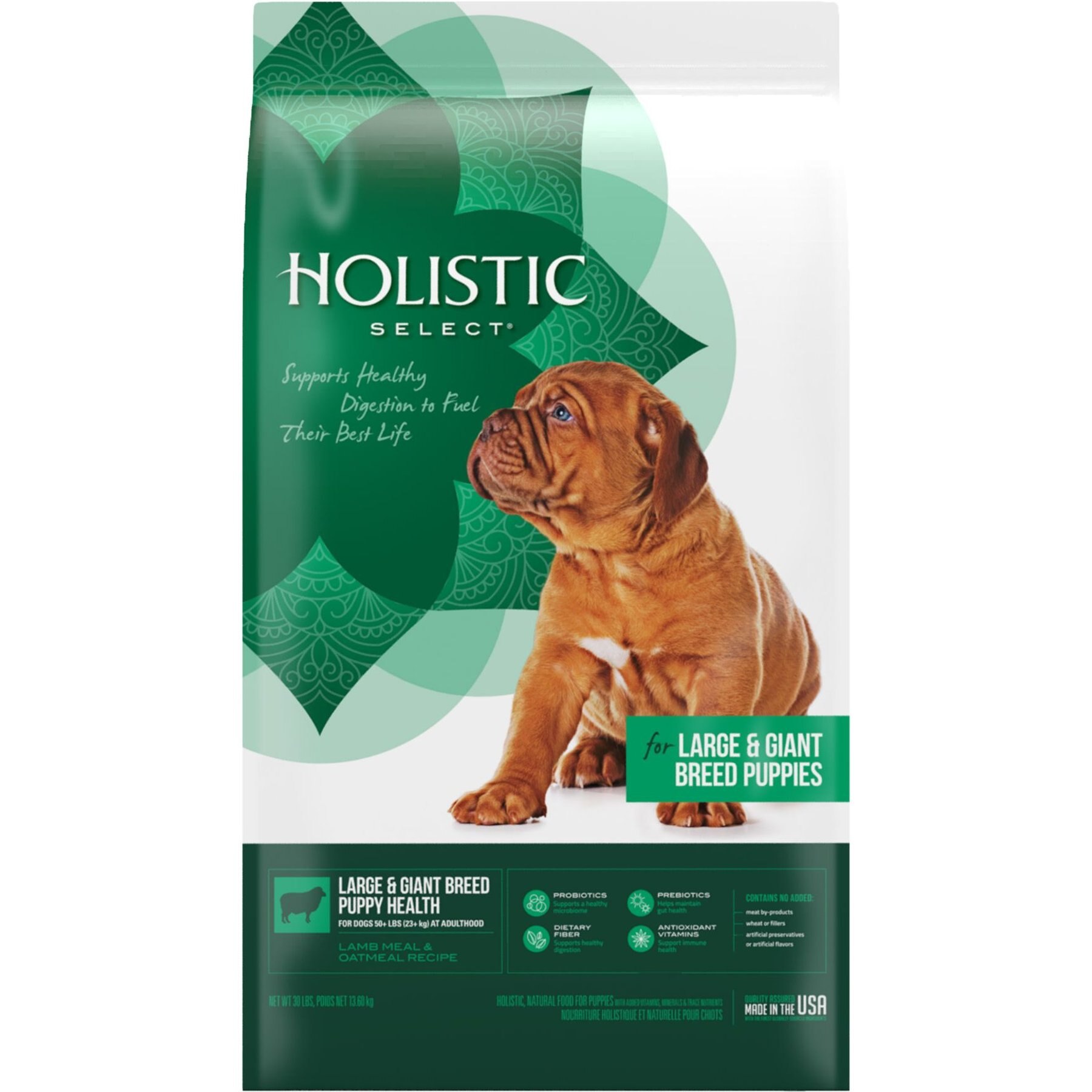Holistic Select Natural Large & Giant Breed Puppy Health Lamb Meal and Oatmeal Dry Dog Food