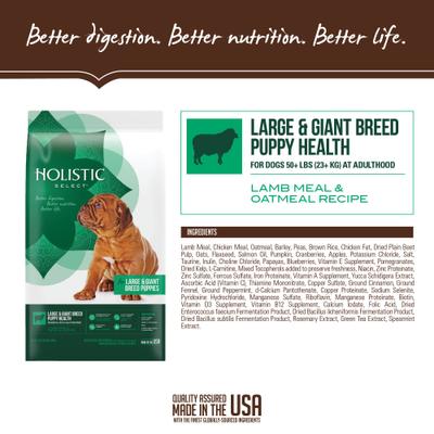 Show full view: Holistic Select Large & Giant Breed Puppy Health Lamb Meal & Oatmeal Recipe Dry Dog Food, 30-lb bag slide 5 of 13