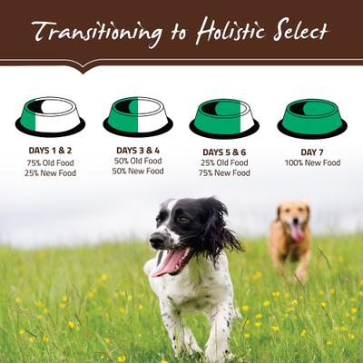 Show full view: Holistic Select Large & Giant Breed Puppy Health Lamb Meal & Oatmeal Recipe Dry Dog Food, 30-lb bag slide 10 of 13