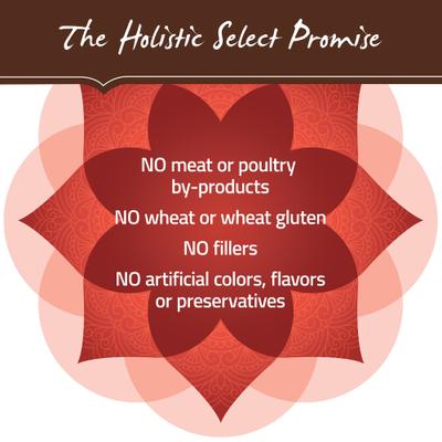 Show full view: Holistic Select Senior Health Chicken Meal & Lentils Recipe Dry Dog Food, 24-lb bag slide 8 of 13