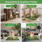 Show in main carousel: HOMAGICO Grass Pad with Tray Indoor Dog Potty, 20 x 30-in slide 3 of 6