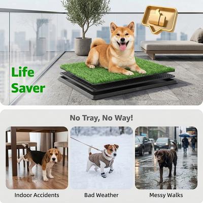 Show full view: HOMAGICO Grass Pad with Tray Indoor Dog Potty, 20 x 30-in slide 4 of 6